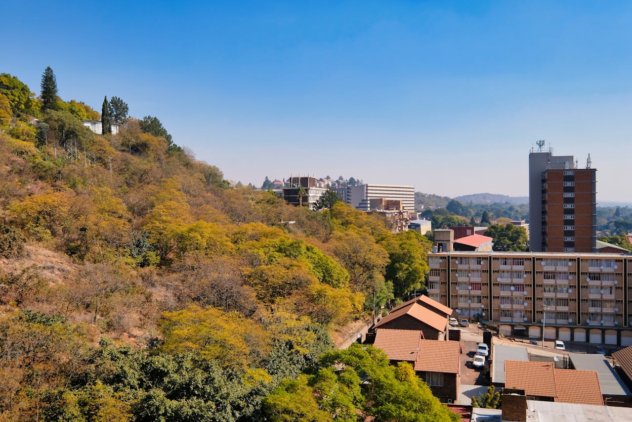 A beautiful view of Johannesburg showcasing autumn foliage and urban buildings.