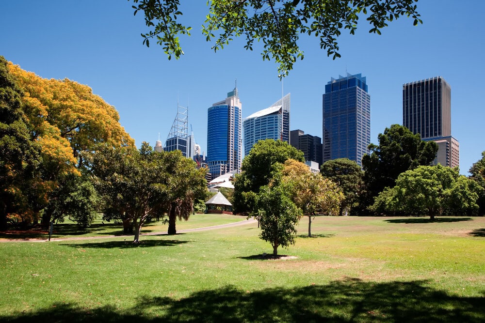 A vibrant city park with a skyline view on a sunny day.